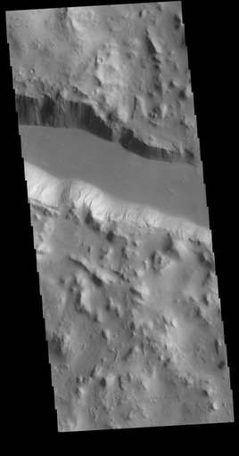 Cerberus Fossae