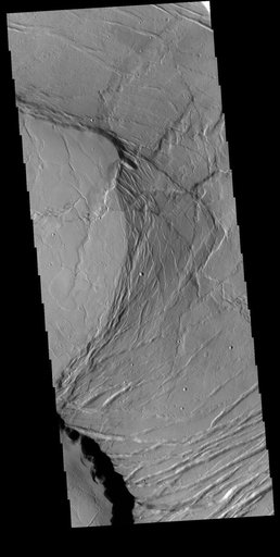 Olympus Mons Summit
