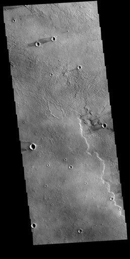 Daedalia Planum Windstreaks