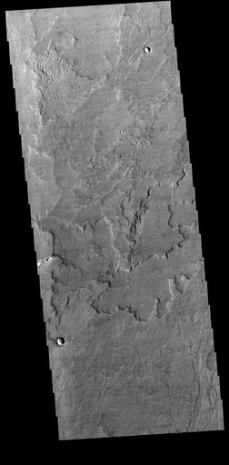 Daedalia Planum