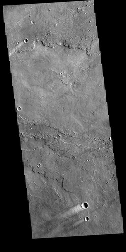Daedalia Planum Windstreaks
