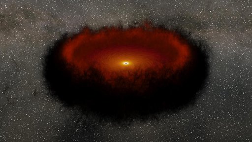 Echo Mapping in a Black Hole Accretion Disk and Torus (Animation)