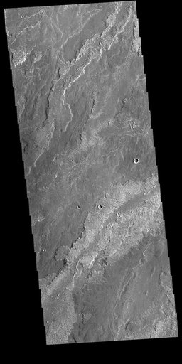 Daedalia Planum