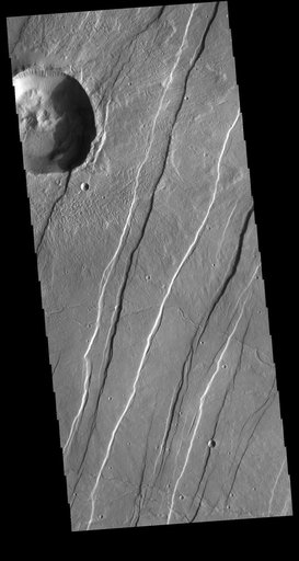 Alba Mons Tectonics