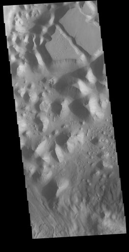 Baetis Chaos