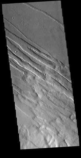 Tharsis Tectonics