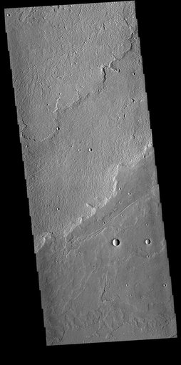 Daedalia Planum