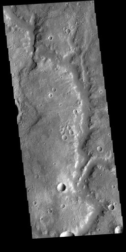 Vichada Valles