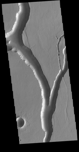 Olympica Fossae