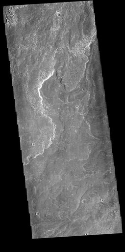Daedalia Planum