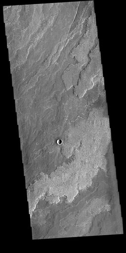 Daedalia Planum