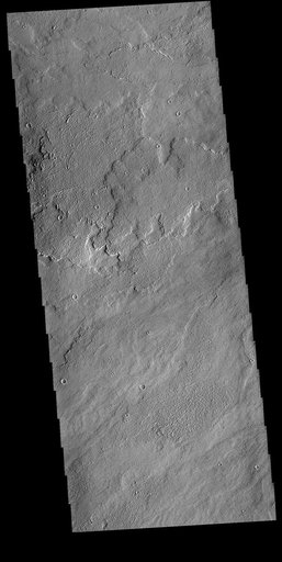 Daedalia Planum