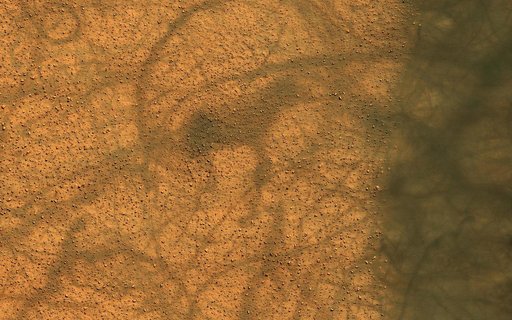 Dust Devil Dance