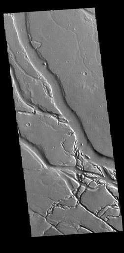 Granicus Valles