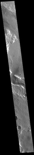 Tinto Vallis