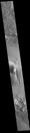 Nicholson Crater