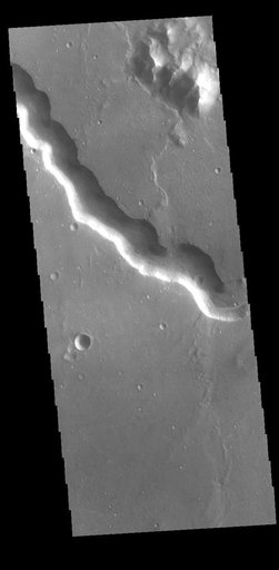 Bahram Vallis