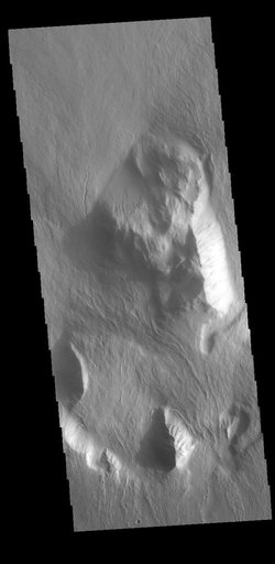 Olympus Rupes