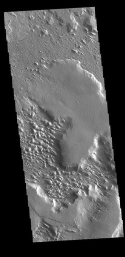 Gordii Dorsum