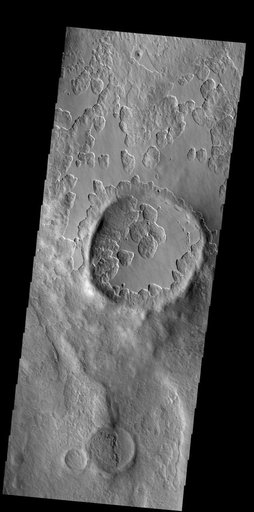Peneus Patera