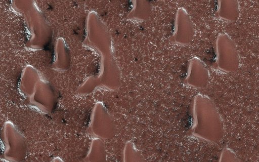 Spring Sprouts on Mars