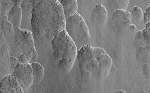 A Recipe for Martian Scallops