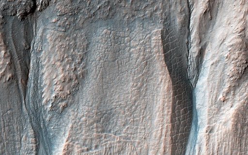 Crater Gullies at Multiple Elevations