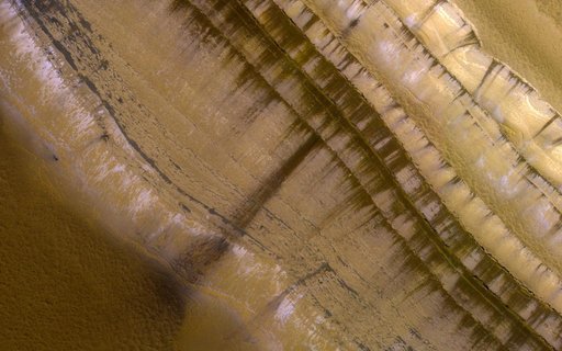 Springtime on a Polar Cliff