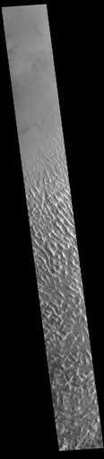 Lycus Sulci