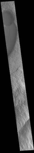 Olympus Mons Summit
