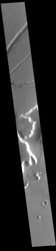 Labeatis Fossae