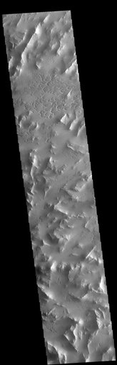 Lycus Sulci