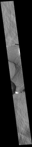 Olympus Mons Summit