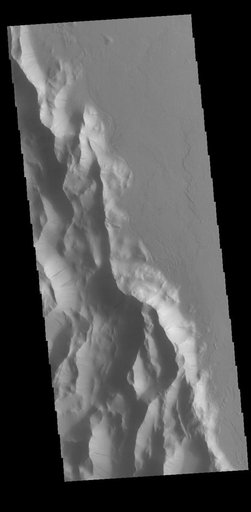 Lycus Sulci