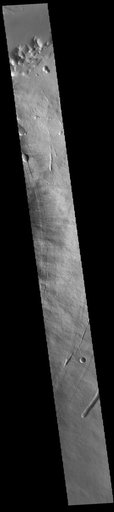 Pavonis Mons