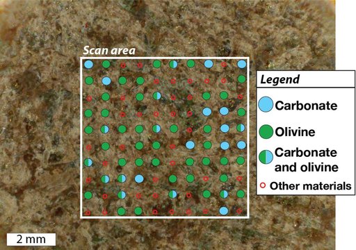 SHERLOC's View of Organics Within Garde Abrasion Patch