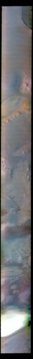 Argentea Planum - False Color