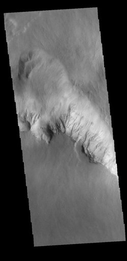 Olympus Rupes