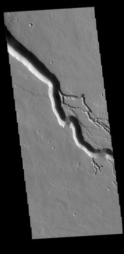 Elysium Fossae and Iberus Vallis