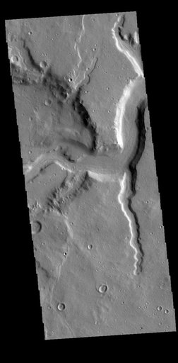 Mamers Valles