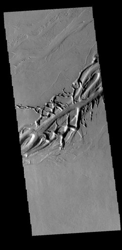 Olympica Fossae