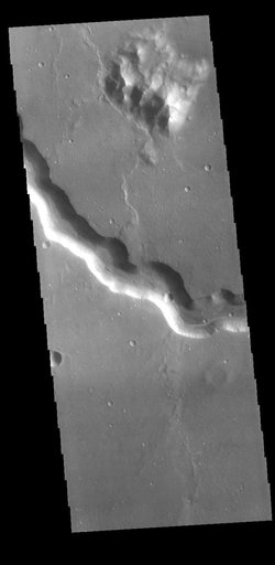 Bahram Vallis