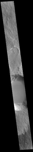 Pavonis Mons