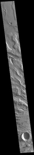 Tyrrhenus Mons