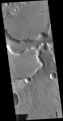 Bahram Vallis