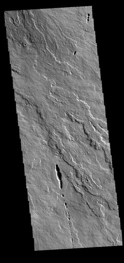 Daedalia Planum