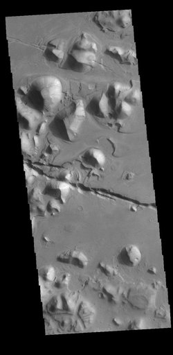 Cerberus Fossae
