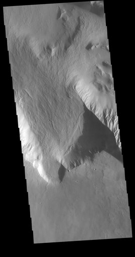 Olympus Rupes