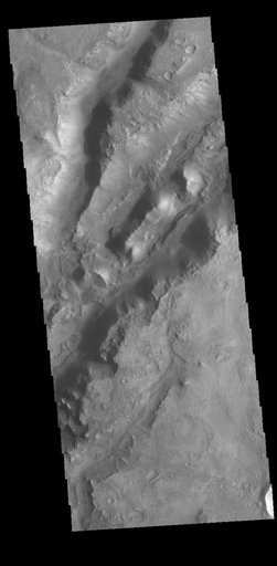 Nili Fossae