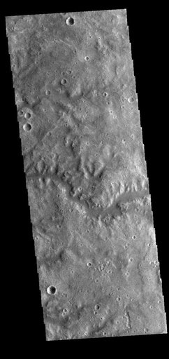 Vichada Valles